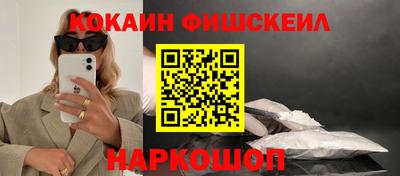 стаф Гатчина