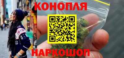 стаф Гатчина