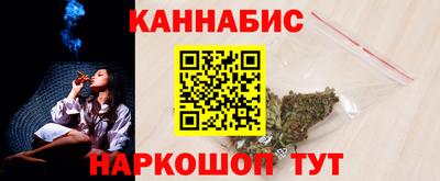 сатива Гай