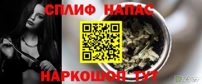 стаф Гатчина