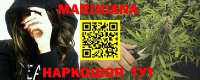 сатива Гай
