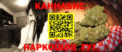 стаф Гатчина