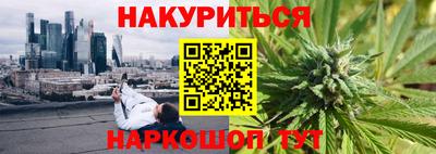 сатива Гай