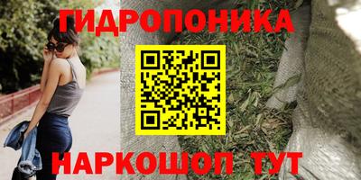 сатива Гай