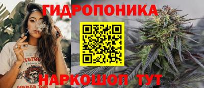 стаф Гатчина