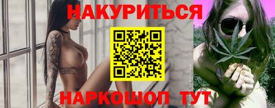 стаф Гатчина