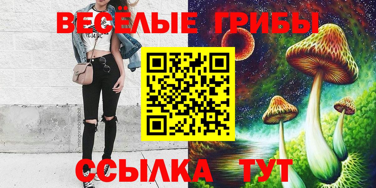 сколько стоит  Вход с VPN  Галлюциногенные грибы ЛСД  Северобайкальск  Псилоцибиновые грибы MAGIC MUSHROOMS 