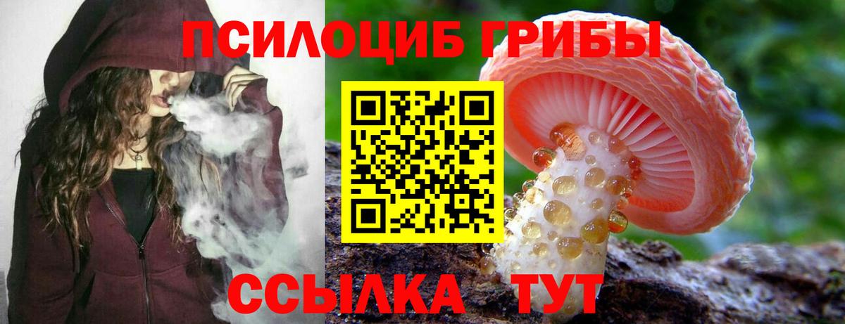 Галлюциногенные грибы Magic Shrooms Северобайкальск